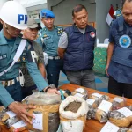TNI AL Temukan 13 Kg Ganja Mengapung di Perairan Perbatasan RI-Papua Nugini